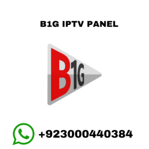 B1G IPTV PANEL